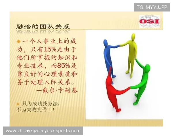 黑白条纹下的团队密码解密探秘与协作精神的深度融合